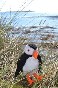 2h The Amble Puffin 200x300